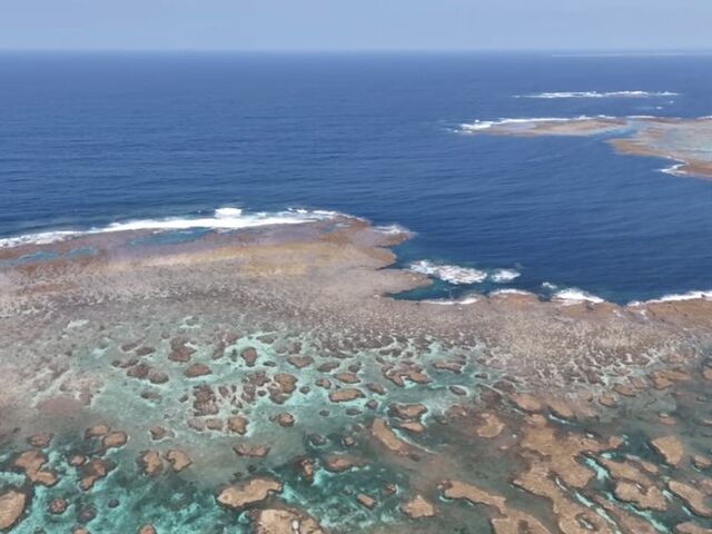 �i�F�A_���݂����