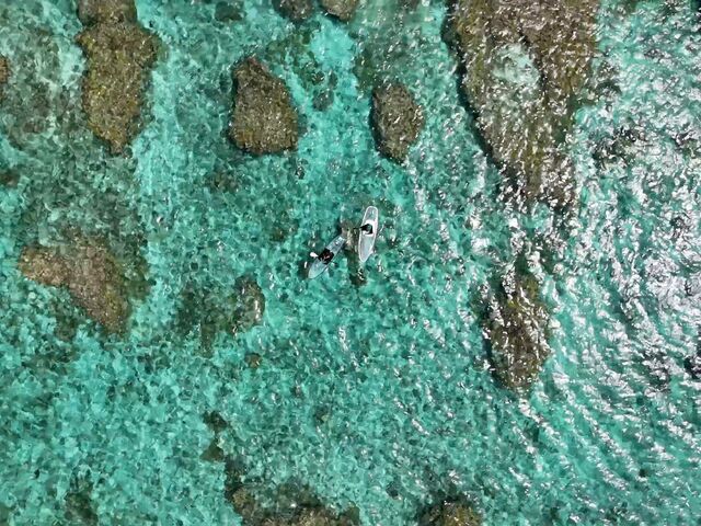 �h���[���ŎB�e���Ă��������܂����I_���݂����