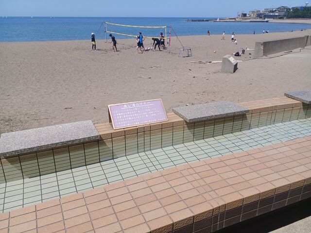 ɐZȂTZbgr[`̂ł_qVO䂠ہ`