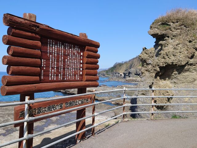 �e�q�F��p�[�L���O�̕W���ŔƐe�q�F��_����C��