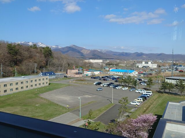 4F�W�]�G���A���������ʂ�]��_��