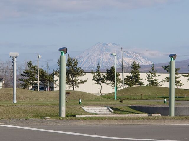 �_���؂ꂽ�r���R�𒓎ԏꂩ��_��