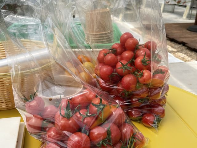 �g�}�g�̎����A��(�L��)���ł��܂���_���肪�ݔ_��