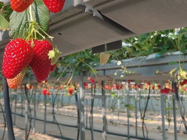 ���h�Ȃ��������炯�ŗǂ��̂�T���K�v��������_�݂̂�_��