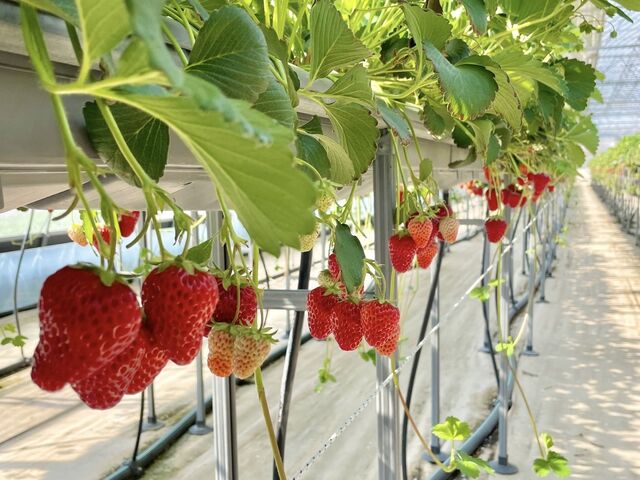 ����ł�����n��߂����������͌������炸�A�ƂĂ�����ꂪ�s���͂��Ă��܂����B_�݂̂�_��