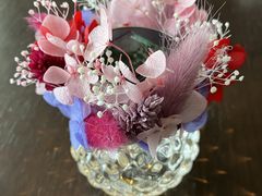 イ񂳂̃tXJ`[T@xBւ̓eʐ^1