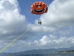 Ƃ񂿂񂳂̐Ί_u[V[T[ւ̓eʐ^1