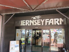 񂳂̃KW[t@[ւ̓eʐ^1