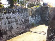 ڂ炳̐V{iO߁jՂ̓eʐ^8