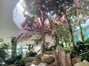 60̃Xm[{[h񂳂̐h[̓eʐ^2