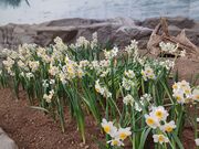 60̃Xm[{[h񂳂̐h[̓eʐ^3