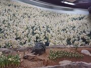 60̃Xm[{[h񂳂̐h[̓eʐ^4