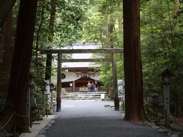 yosshy֑̒_Ђ̓eʐ^3