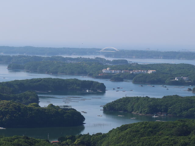 ȂȂ̉ił_RW] (RVJtFeX)