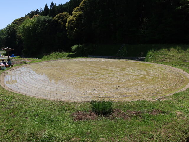 yosshy̒J̎ԓc̓eʐ^1