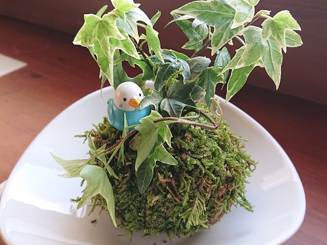 ����̓A�C�r�[�ŁB_������