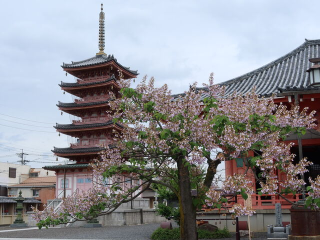 yosshy̒Êωiωj̓eʐ^3