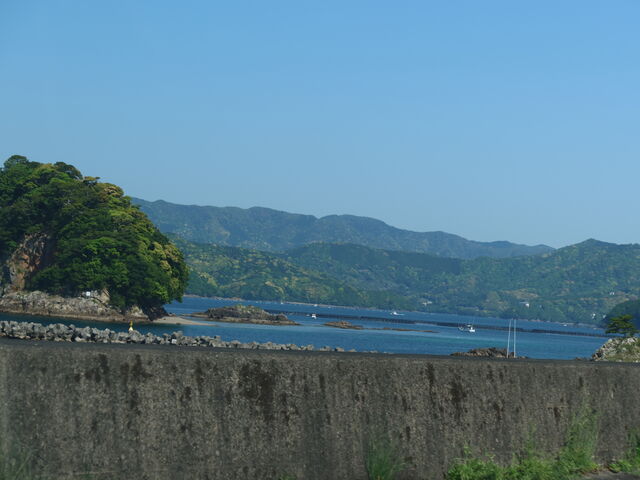 ���C���ȁH_�܃P���p