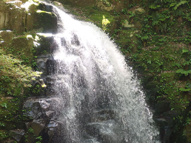 ����P��_�E�ҏC�s�̗� �Ԗڎl�\����E�Ԗڑꐅ����