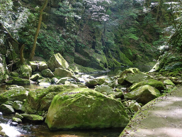 �ۂނ�������_�E�ҏC�s�̗� �Ԗڎl�\����E�Ԗڑꐅ����