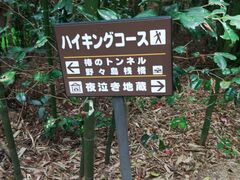 ̂񂿂񂳂̐AEghAZ^[ւ̓eʐ^1