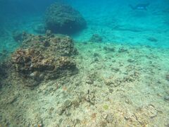 �������[����̕��������ւ̓��e�ʐ^1