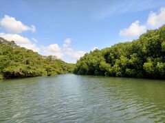 ݂񂳂̂ЂI[VYւ̓eʐ^1