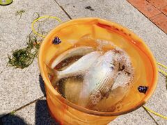 g~[ItBVLUREMANւ̓eʐ^1