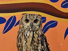 Ҋۂ̃ANAtHXg@-̐X-ւ̓eʐ^1