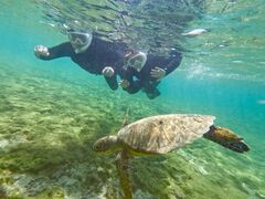 ݂OCEAN LIFEւ̓eʐ^1