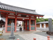 yosshy̒Êωiωj̓eʐ^1