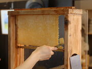 yosshy̏Y̕܂̓eʐ^3