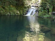 yosshy̐Ԗڎl\̓eʐ^1