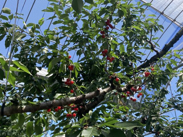 ������������Ă܂�_�܂����уt�@�[��