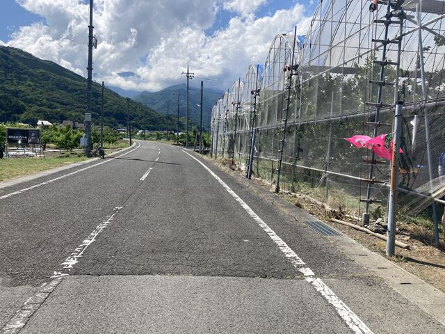 �D�A�N�Z�X�ł�_�܂����уt�@�[��