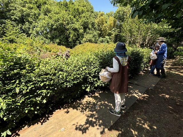 ���E�݁B���������̂悤�ɒ��̖؂�����ł��܂��B_���u�蒃�̌��R�[�X