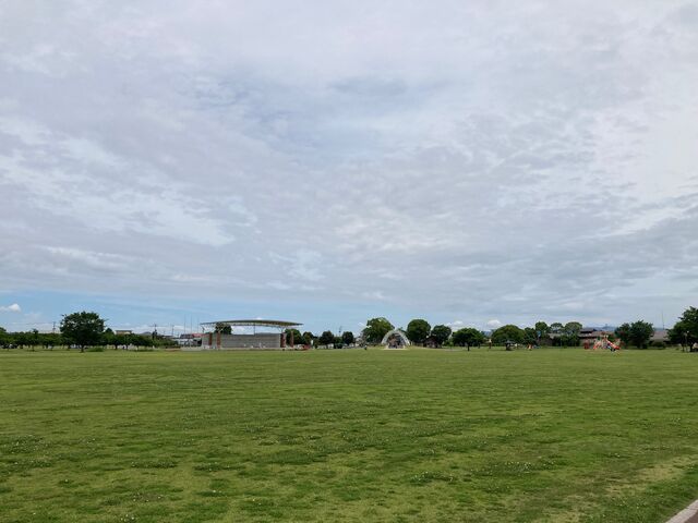 ���c�}��L�����_���c�}��L�����