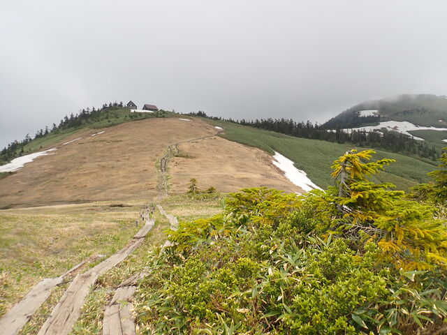 }Cann̋xRt߂̎̓eʐ^1