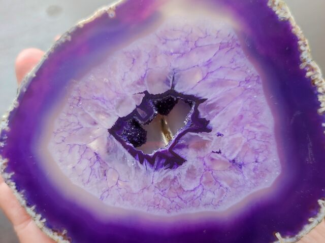 �y��̑傫����F���������񂠂��āA��������Y�ݎn�߂܂��B_�L����ЎO�W�M��