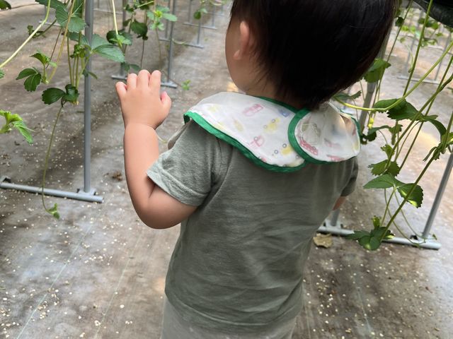 �����������Ŏ�ꂽ��_�A�O�x���[