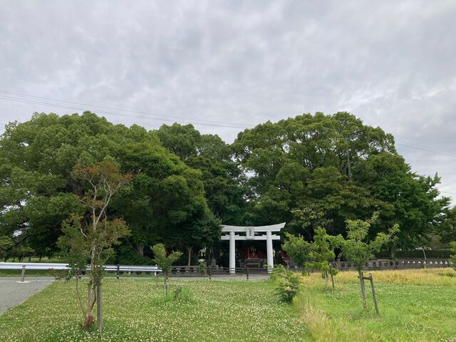 ���c�}��L�����_���c�}��L�����