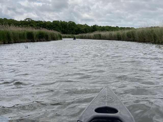 �厩�R�I_�A�~���[�Y�X�|�[�c