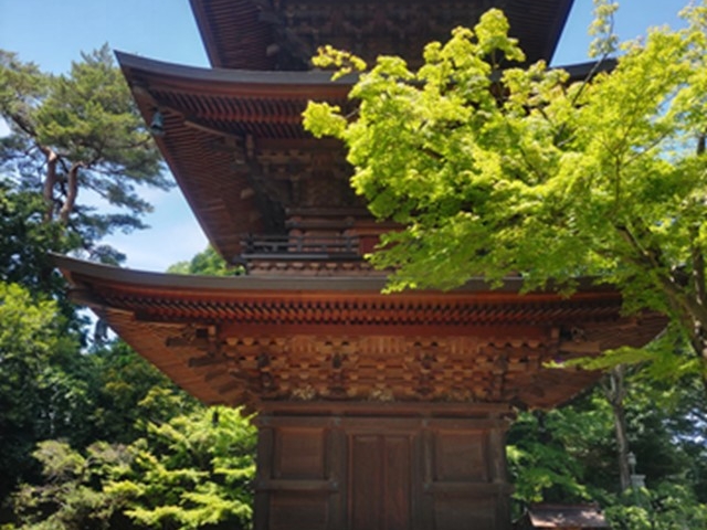 �O�d��_������