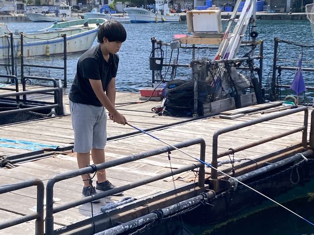 �ނ��Ă鎞�ł��B_�C��ނ�x�����]