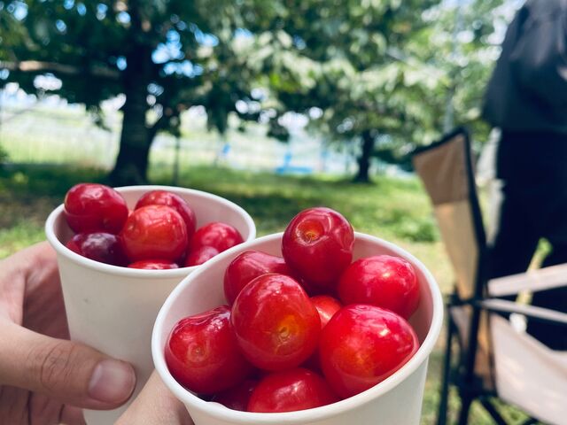 �y�������������܂����I_�܂����уt�@�[��