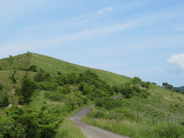 �l���J���X�g��샖��_�l���J���X�g��샖��