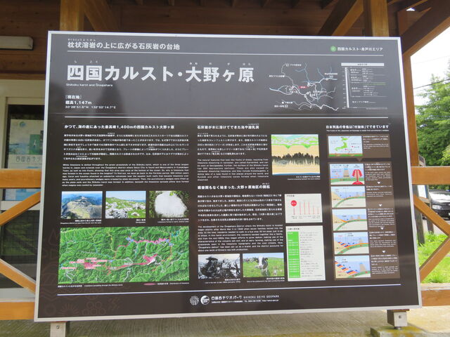 �l���J���X�g��샖��_�l���J���X�g��샖��