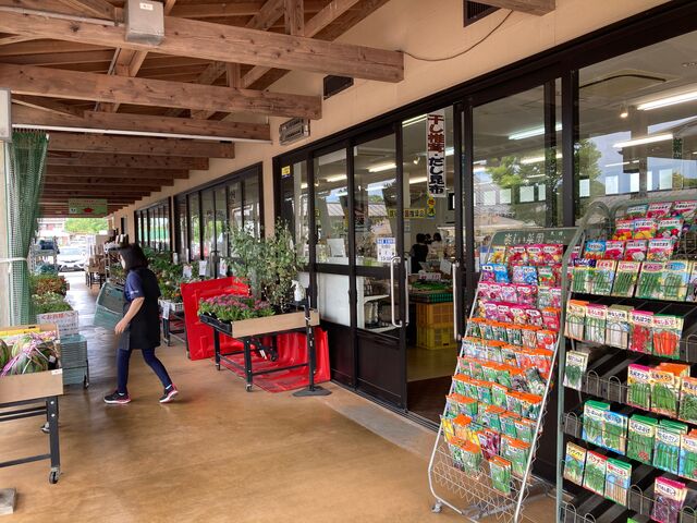 ���ڂ��镨�Y��_���ڂ��镨�Y��