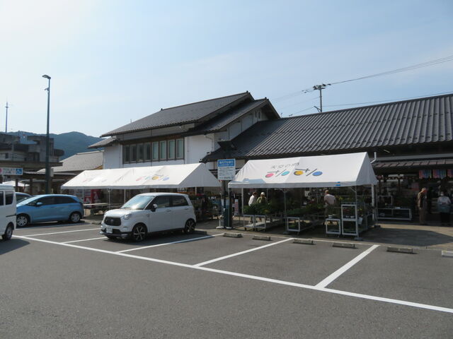 ̉w V̋񂳂
Y_̉w V̋񂳂