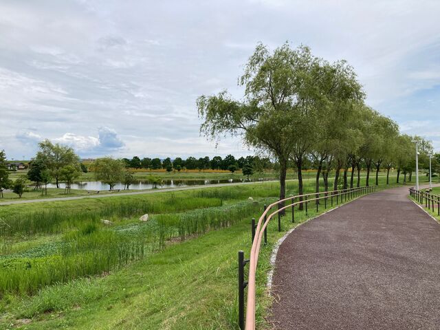 ���c�}��L�����_���c�}��L�����